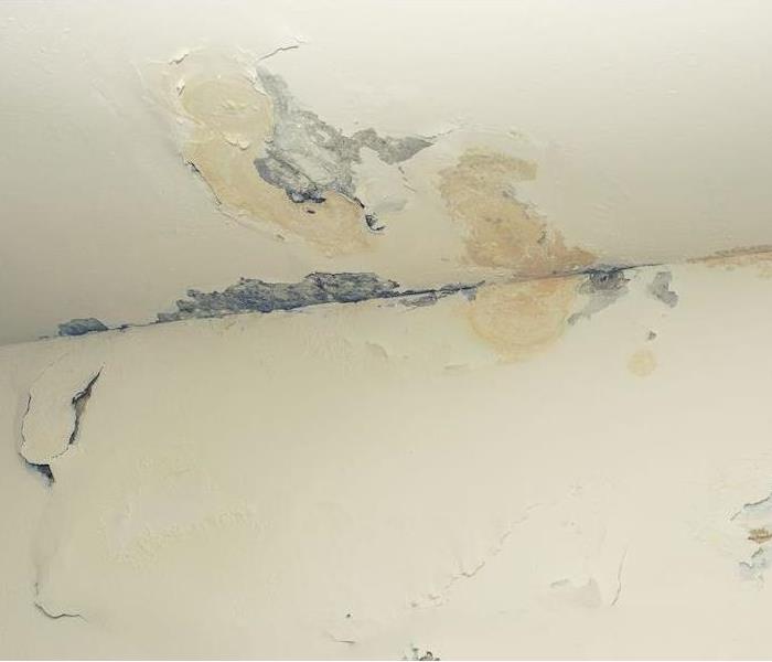 ceiling Wall Damage
