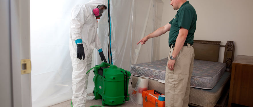 Denville, NJ mold removal process